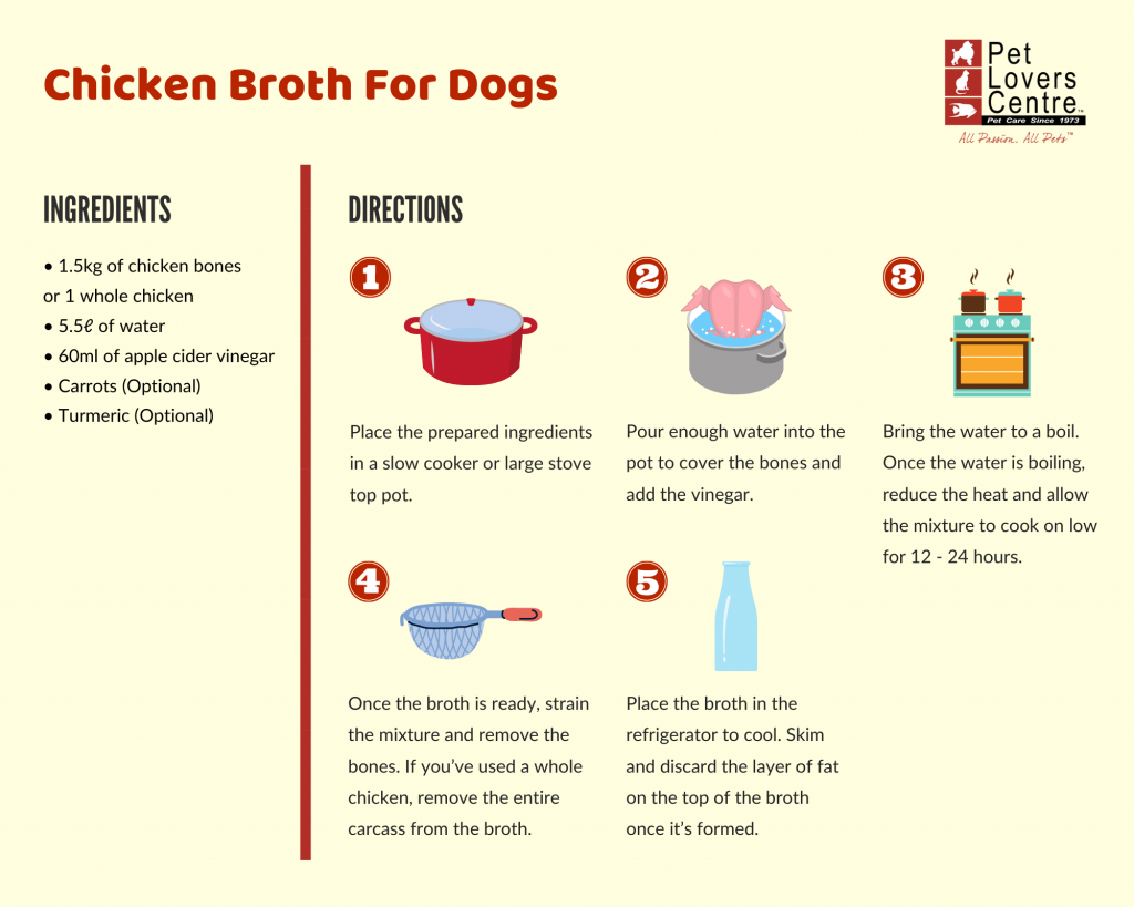 Chicken Broth for Dogs Recipe Infographic